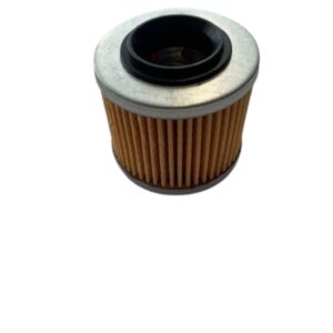 FILTRO ACEITE 650DS / 650DSX